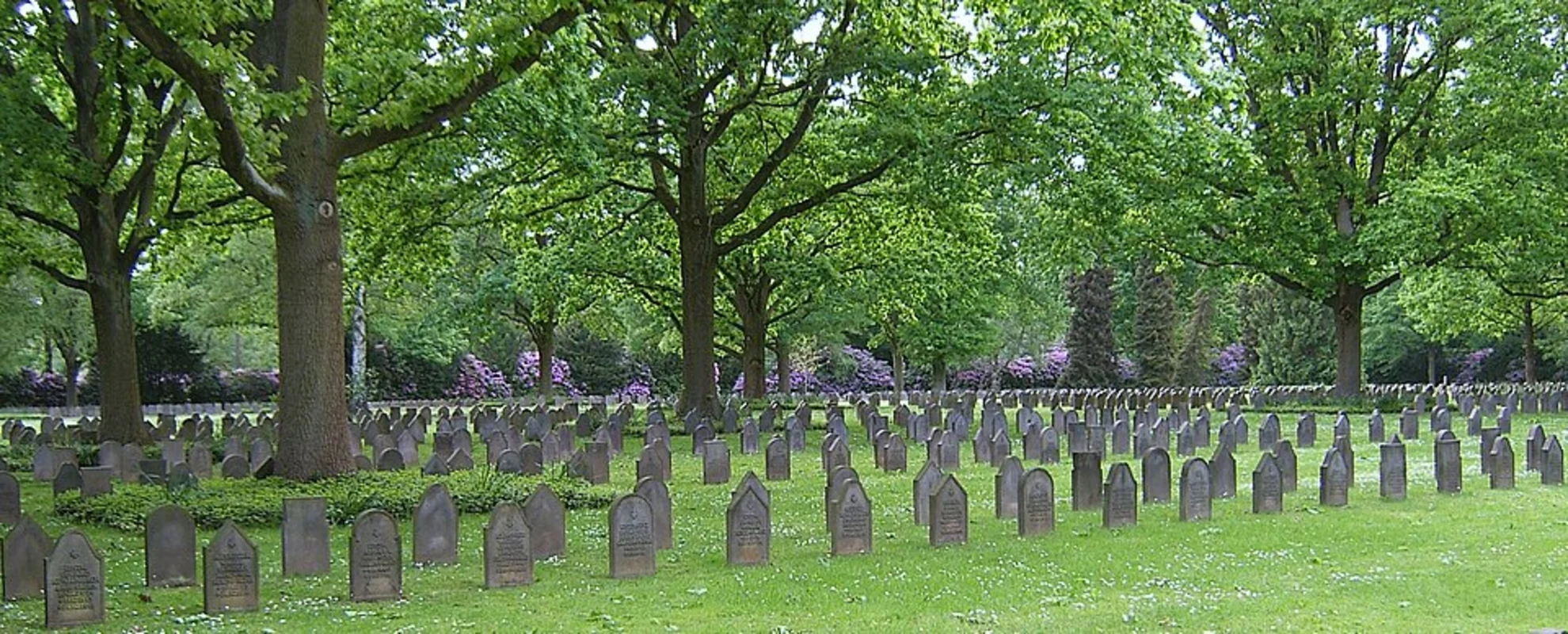 An image depicting the trail Ohlsdorf Circular and its surrounding area.