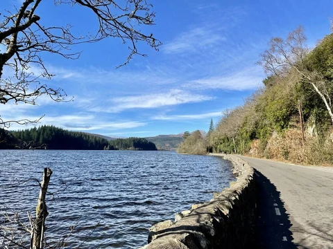 An image depicting the trail 8 Mile Loop and Loch Ard Trail and its surrounding area.