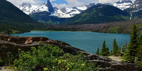 An image depicting the trail Gunsight Pass Traverse and its surrounding area.