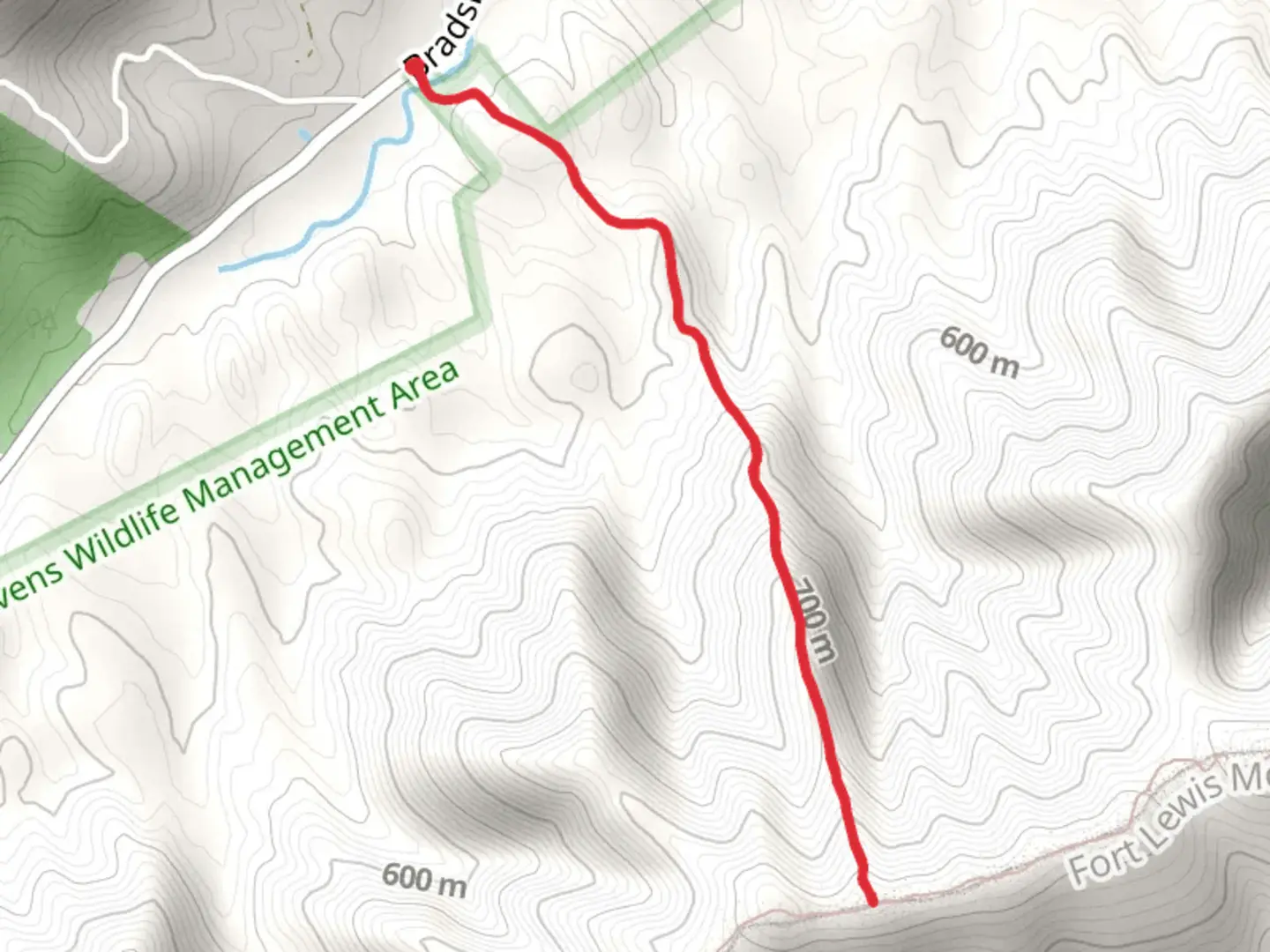 An image depicting the trail Mason Creek from Bradshaw Road and its surrounding area.