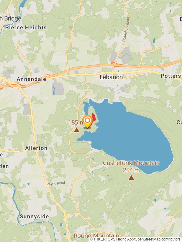 Pine Tree Trail - Green