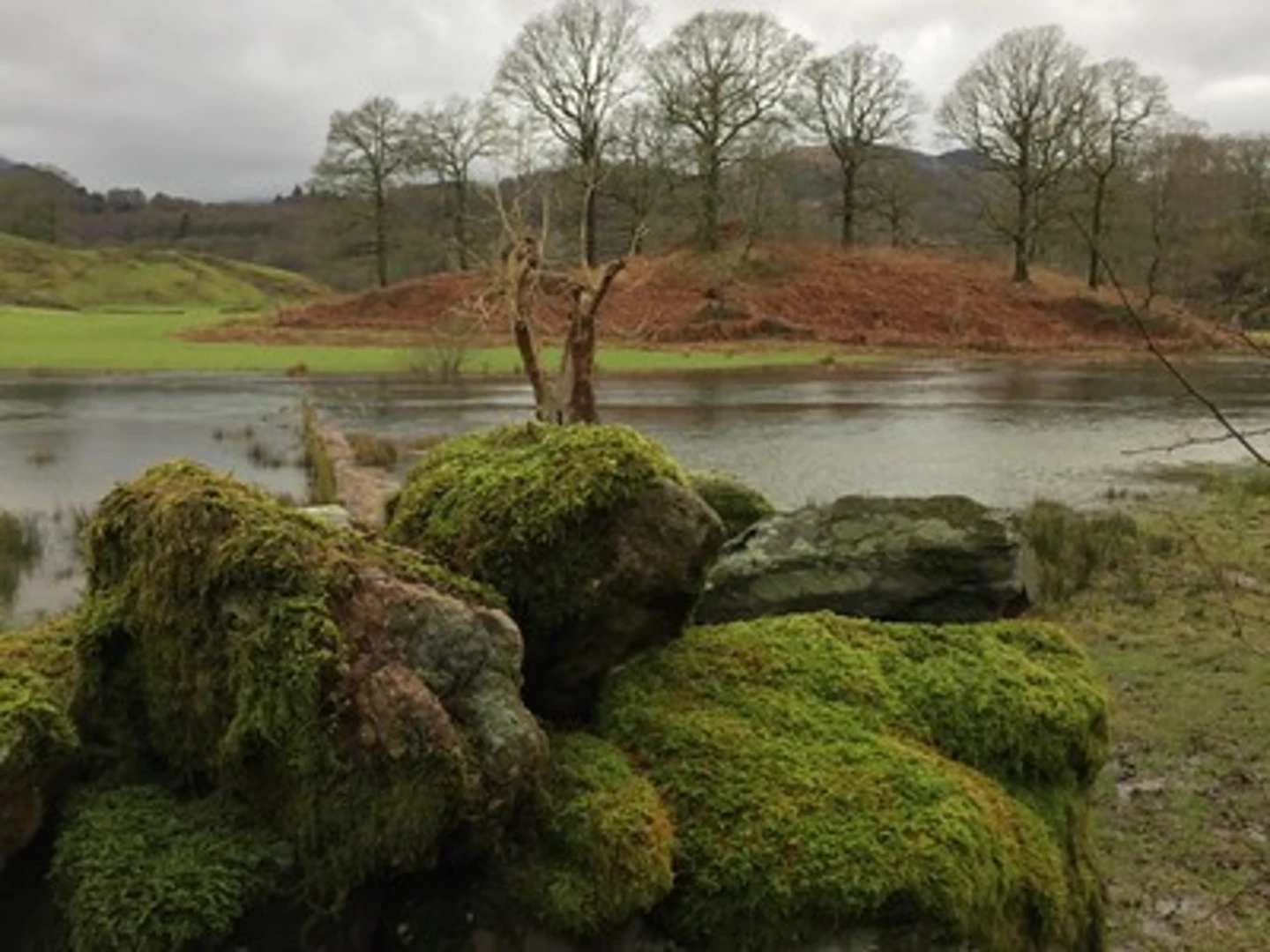 An image depicting the trail Elter Water, Skelwith Force and Bridge How Coppice Loop and its surrounding area.