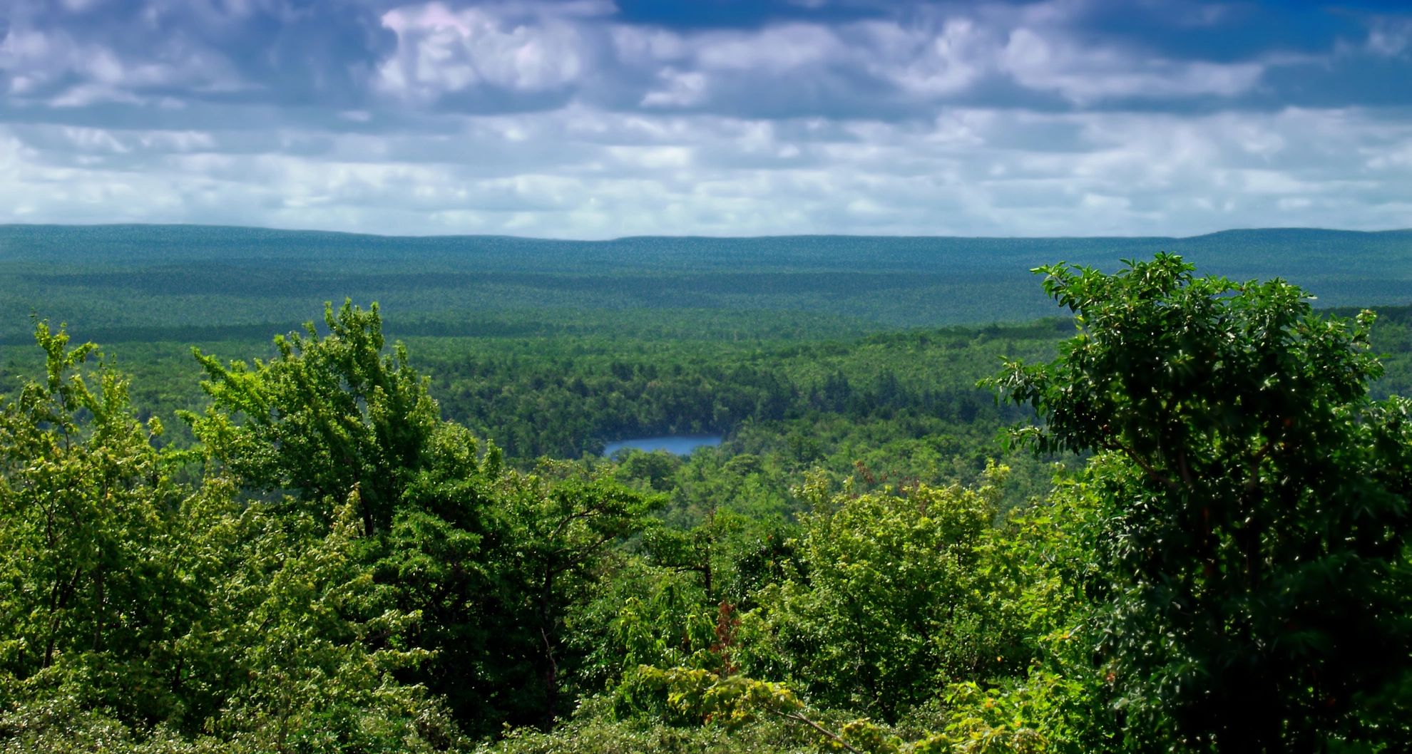 An image depicting the trail Big Pine Hill Trail and its surrounding area.