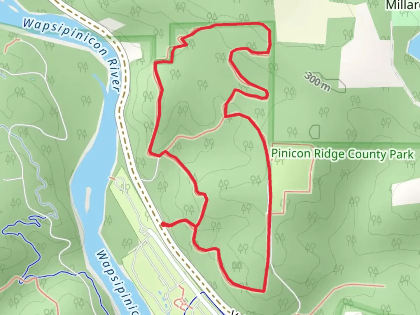 An image depicting the trail Flying Squirrel Loop Trail and its surrounding area.