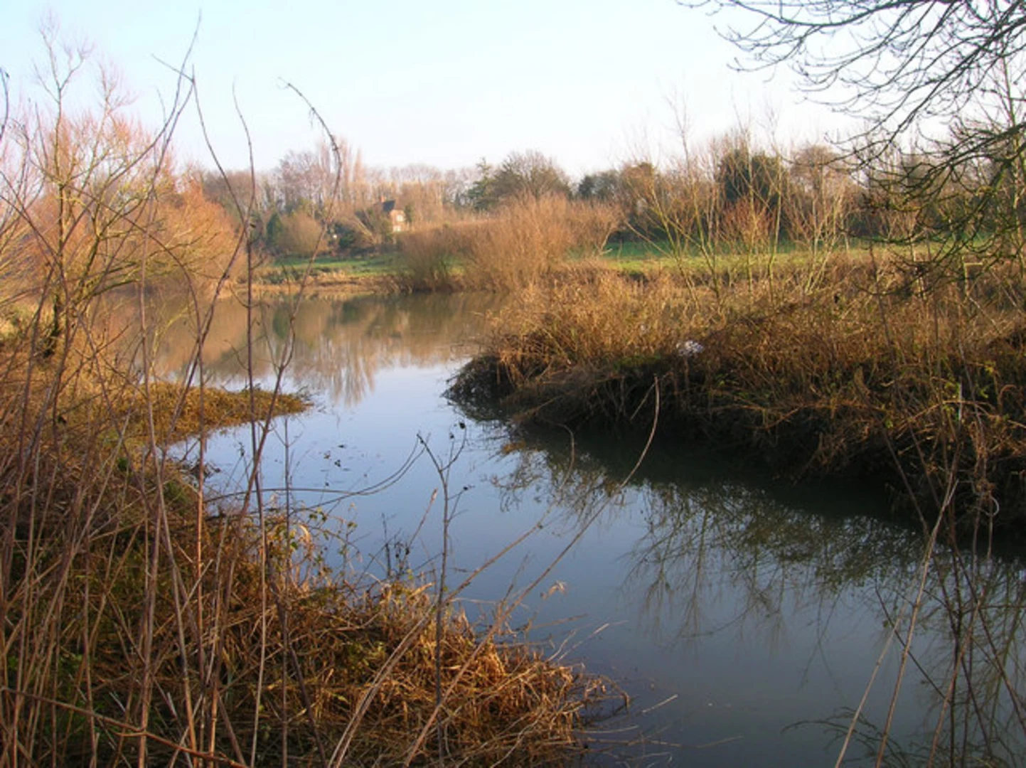An image depicting the trail Amberley and Cold Waltham via Wey South Path and its surrounding area.