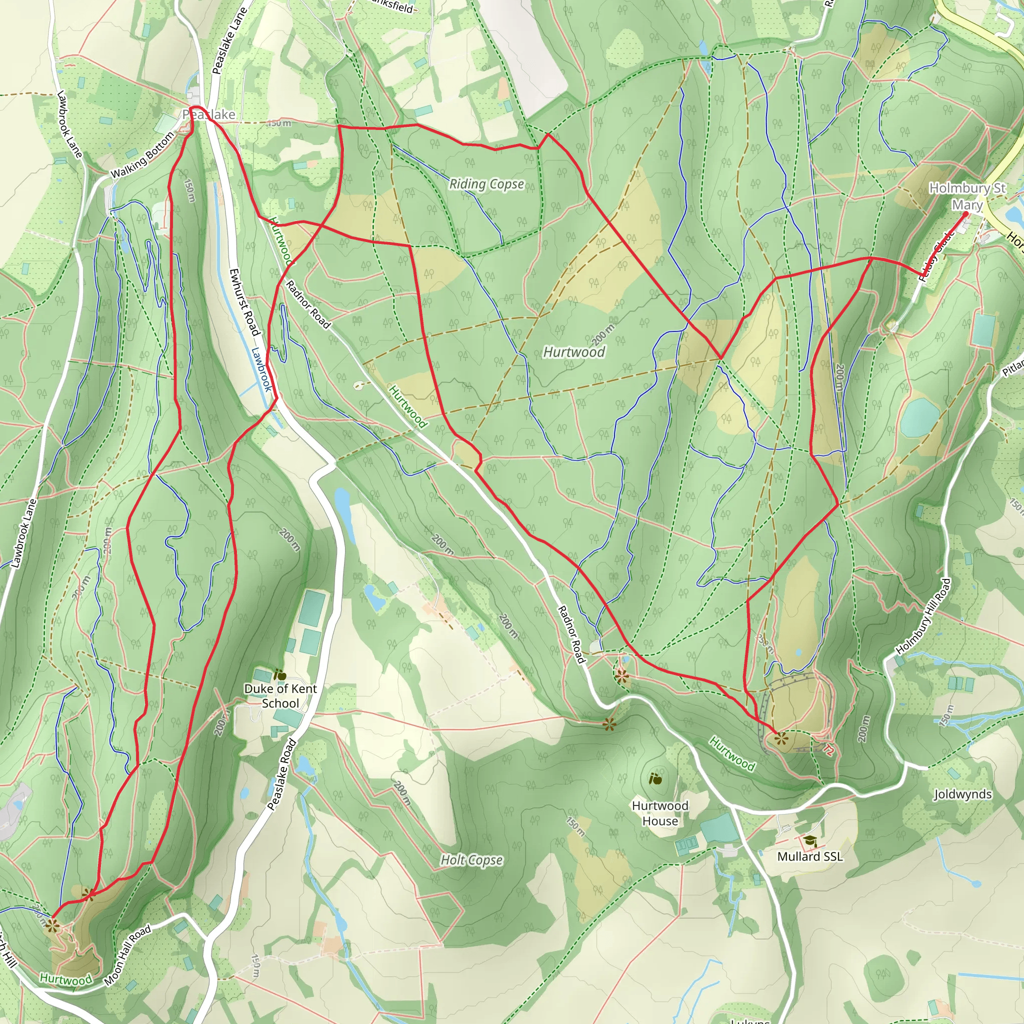Holmbury Hill, Pitch Hill and Hurt Wood Loop mobile static map