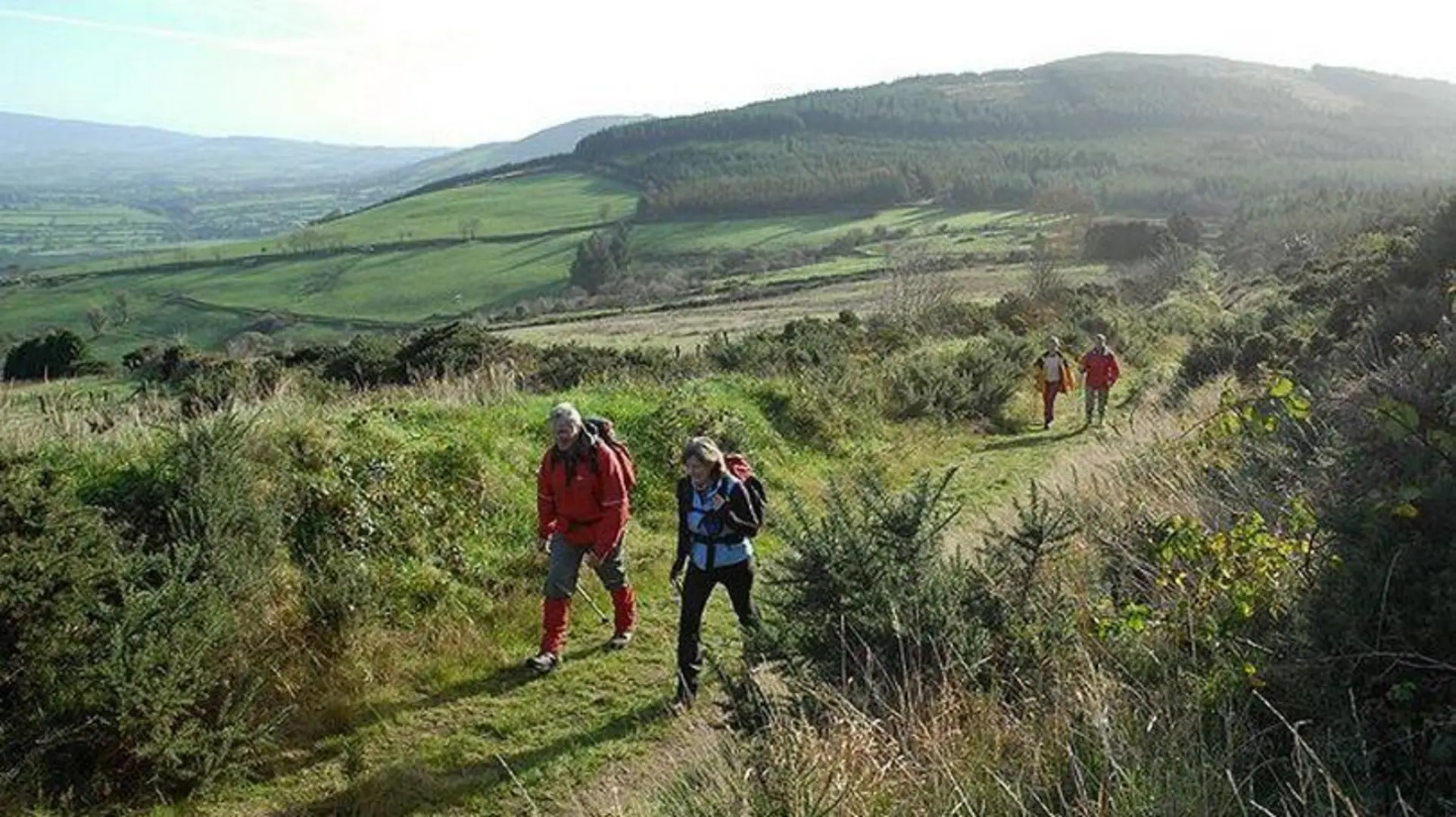 An image depicting the trail Ballyhoura Way and its surrounding area.