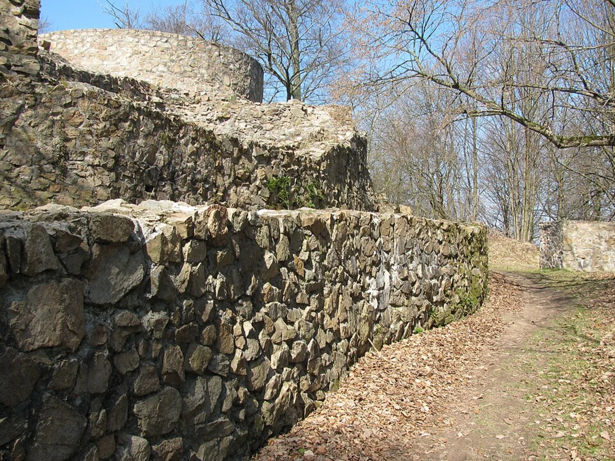 Burg Tannenberg Loop via Lufthansa Wanderweg 1