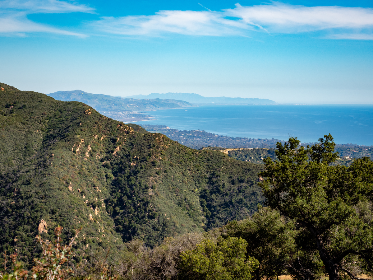 Iron Mountain Trail from Camp Bonita Road