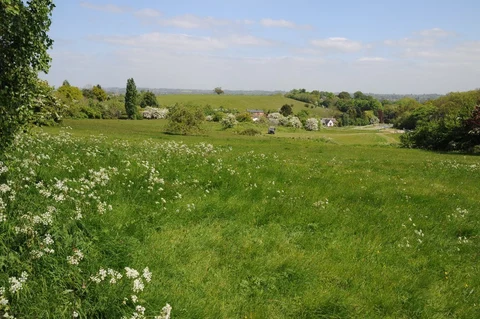 An image depicting the trail Old Hills and Stanbrook Abbey Loop and its surrounding area.