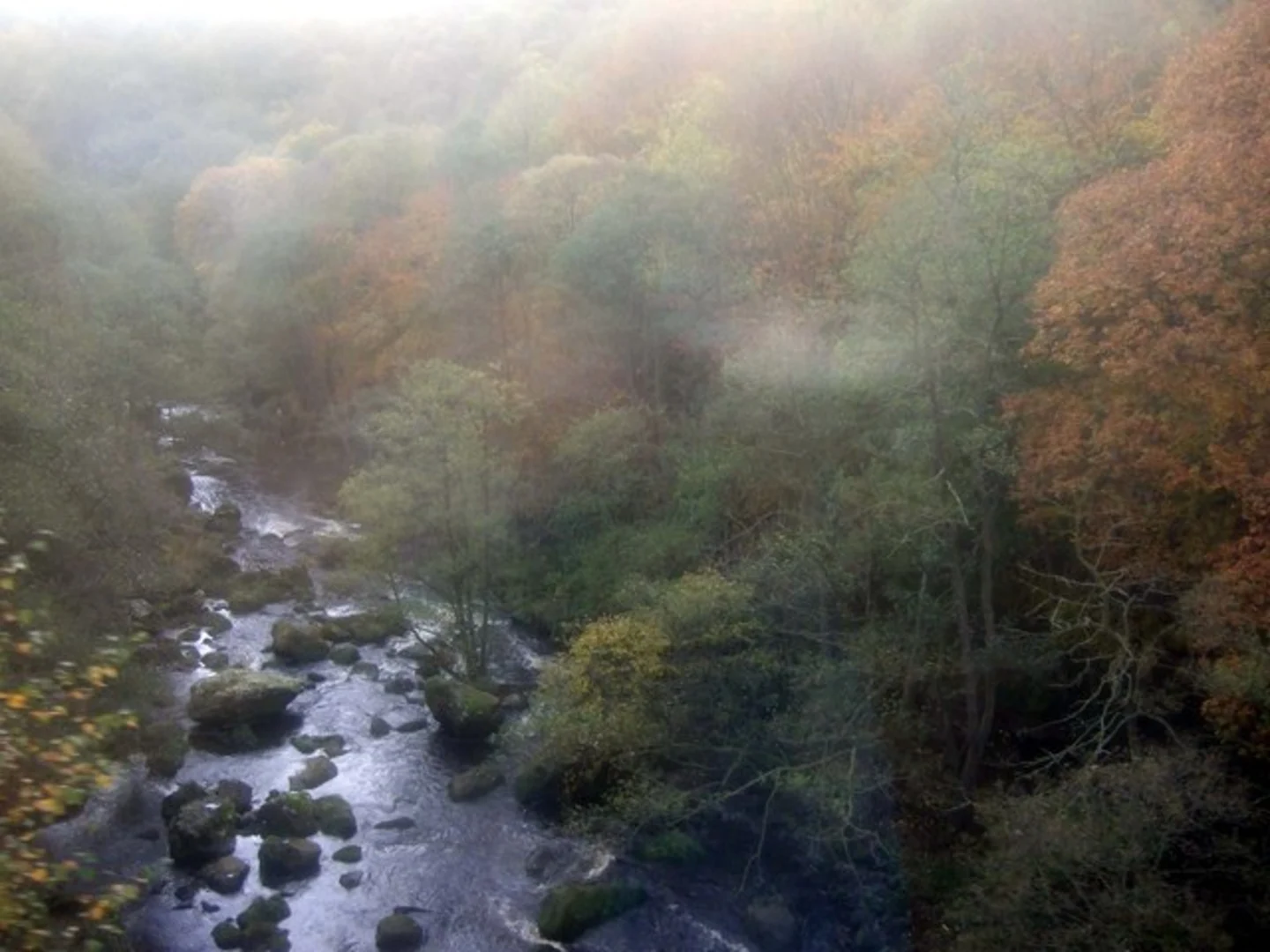 An image depicting the trail Limber Hill Wood via Esk Valley Walk and its surrounding area.