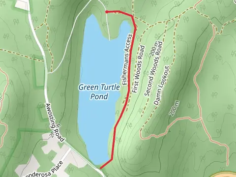 Green Turtle Pond East Shore Walk