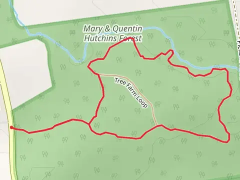 Burnham Brook via Tree Farm Loop