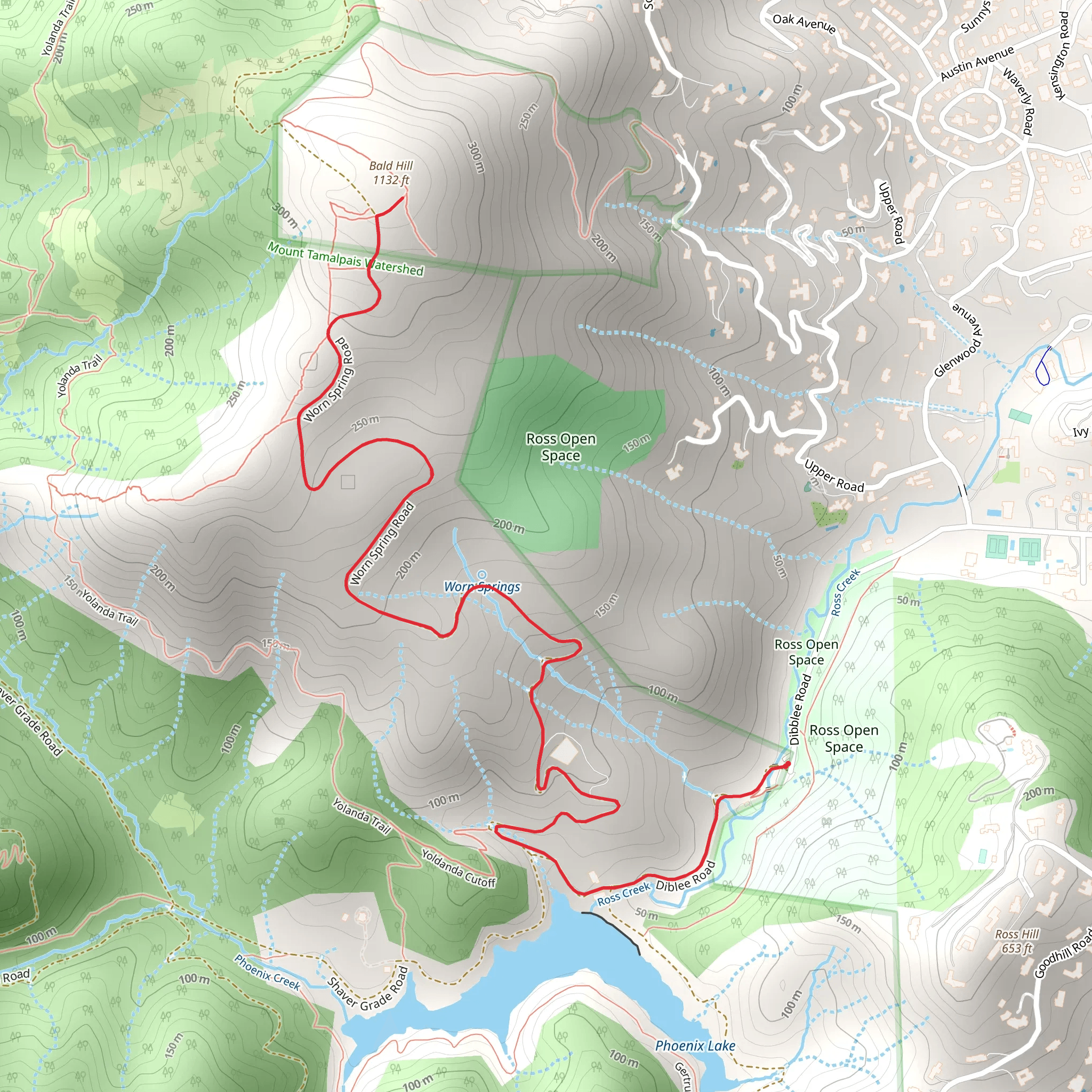Bald Hill from Ross Open Space mobile static map