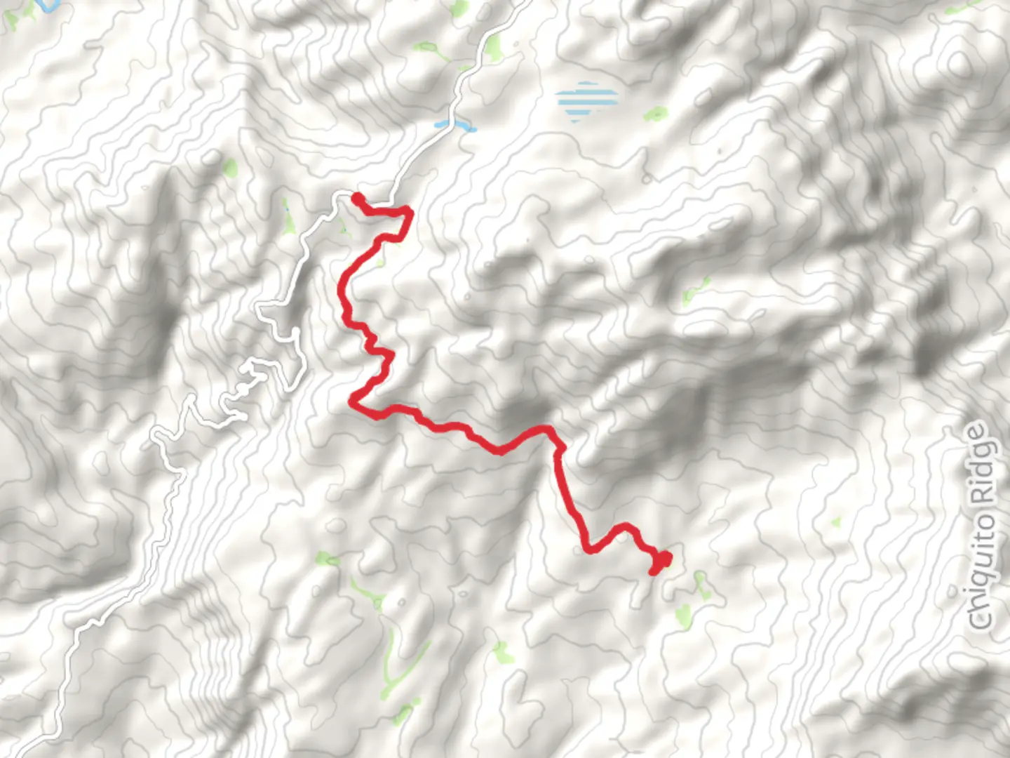 An image depicting the trail Gaggs Camp via Central Camp Road and its surrounding area.