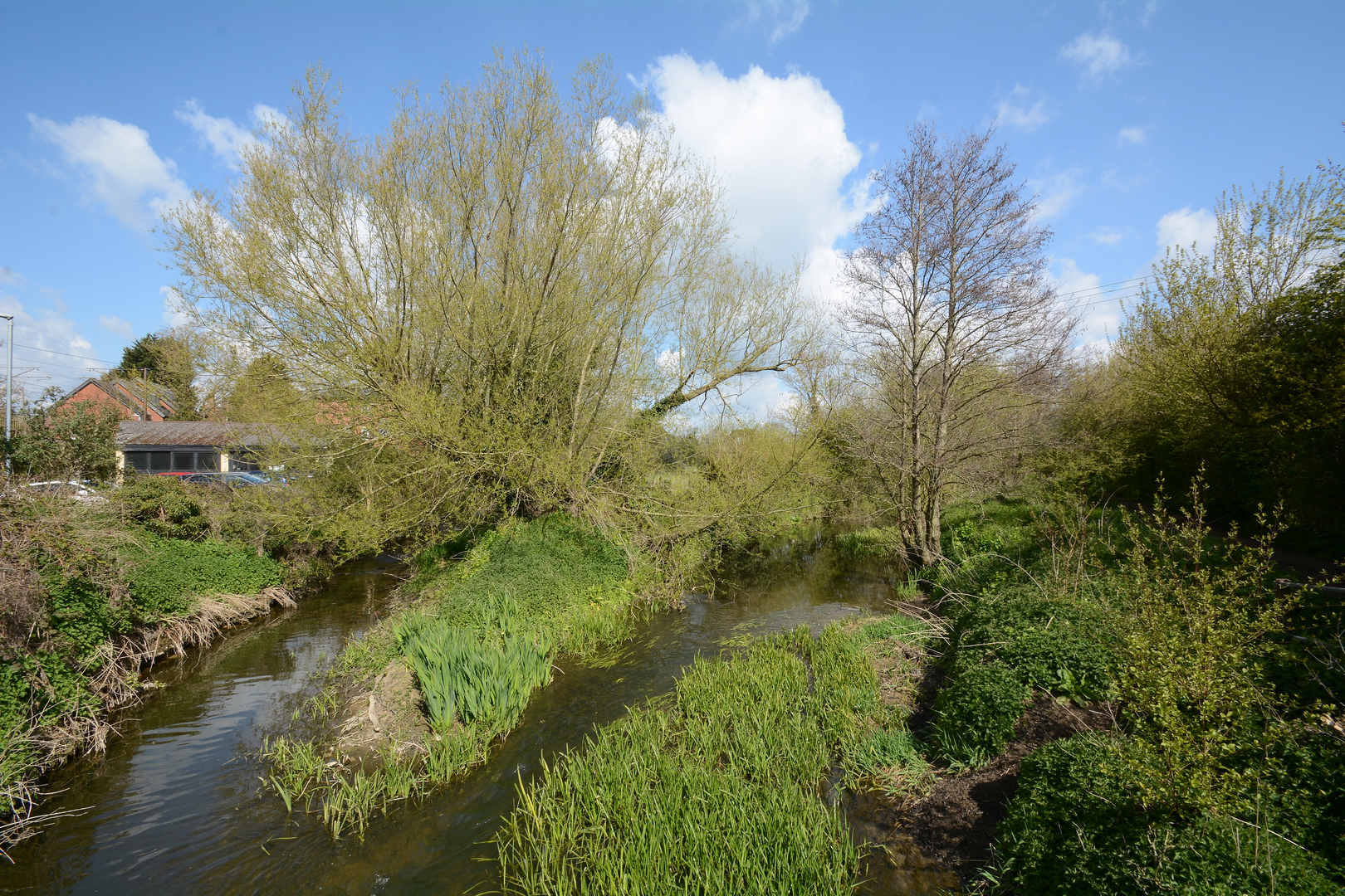 An image depicting the trail Circular Walk from Needham Market via Gipping Valley River Path and its surrounding area.