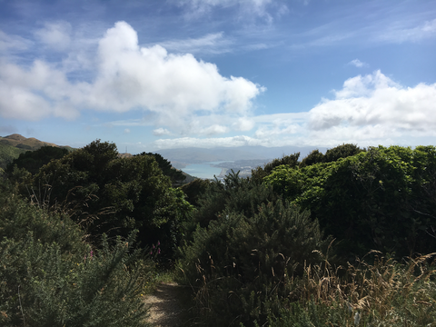 Colonial Knob Scenic Reserve