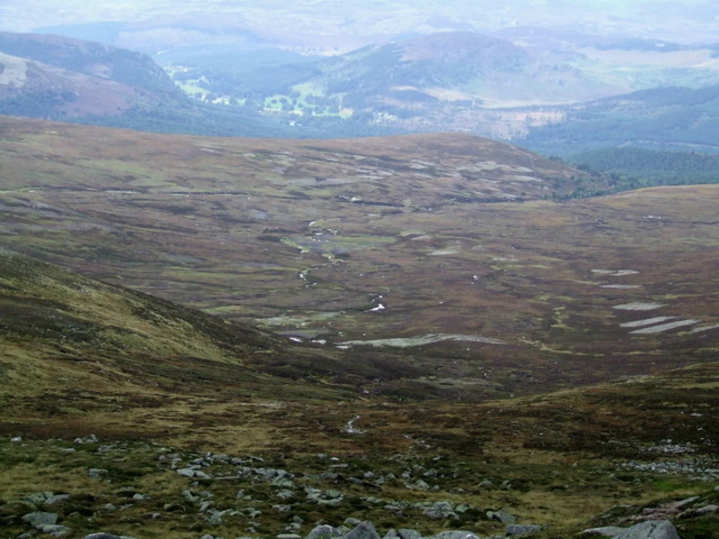 An image depicting the trail Queen Victoria's Ballochbuie Walk via Keiloch and its surrounding area.