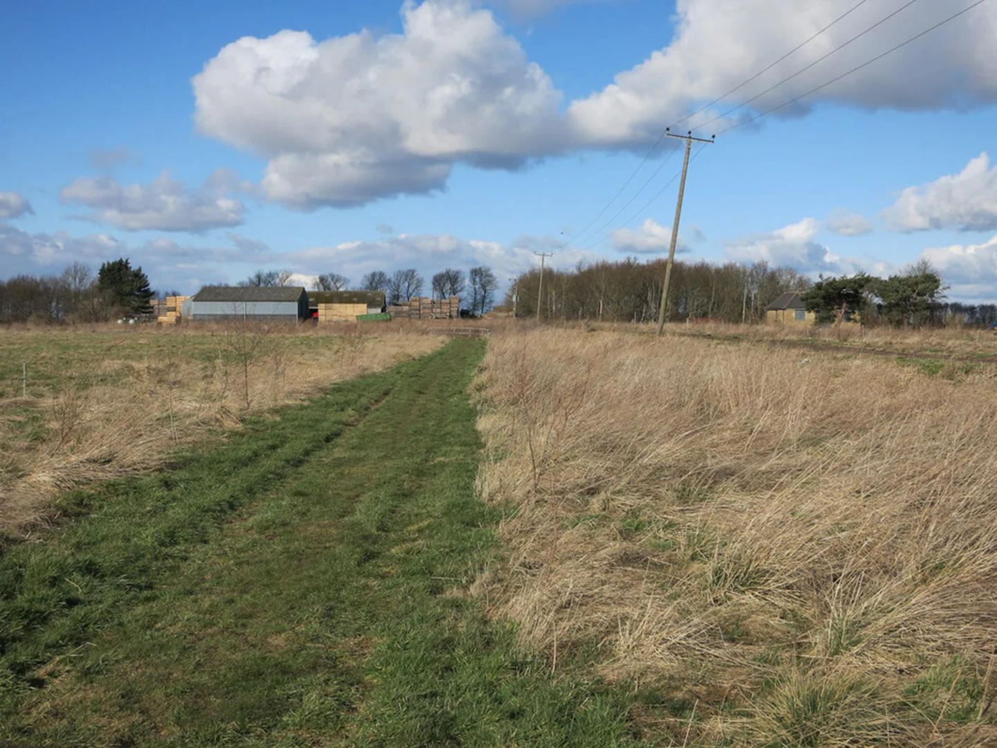 An image depicting the trail Great Fen Loop and its surrounding area.