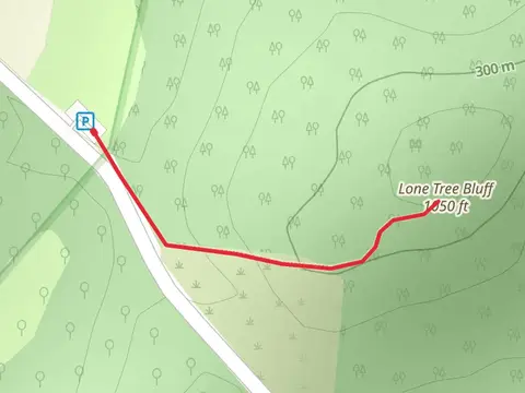 Lone Tree Bluff Out and Back