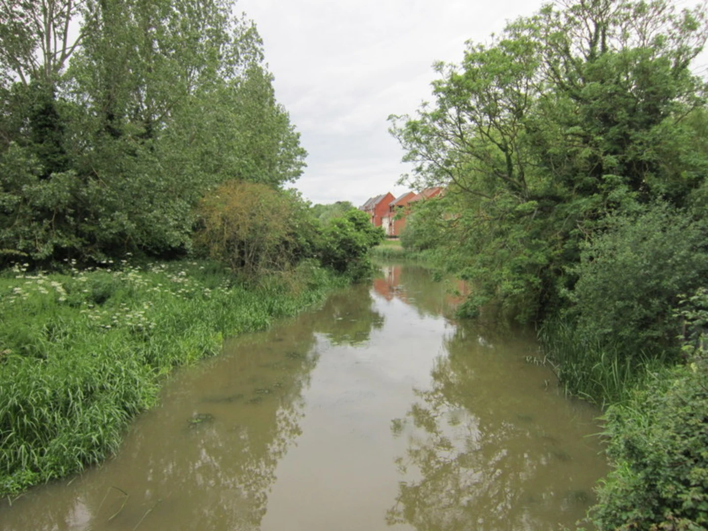 An image depicting the trail Flower and Summer Gardens, River Great Ouse and Heron Water Loop and its surrounding area.