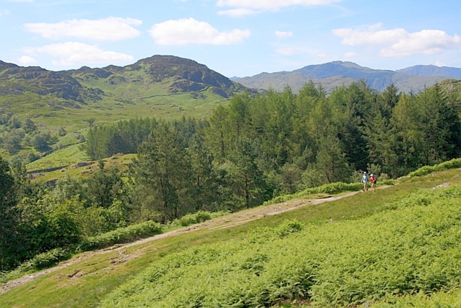 An image depicting the trail Grange Fell, Great Crag and Dock Tarn Loop and its surrounding area.