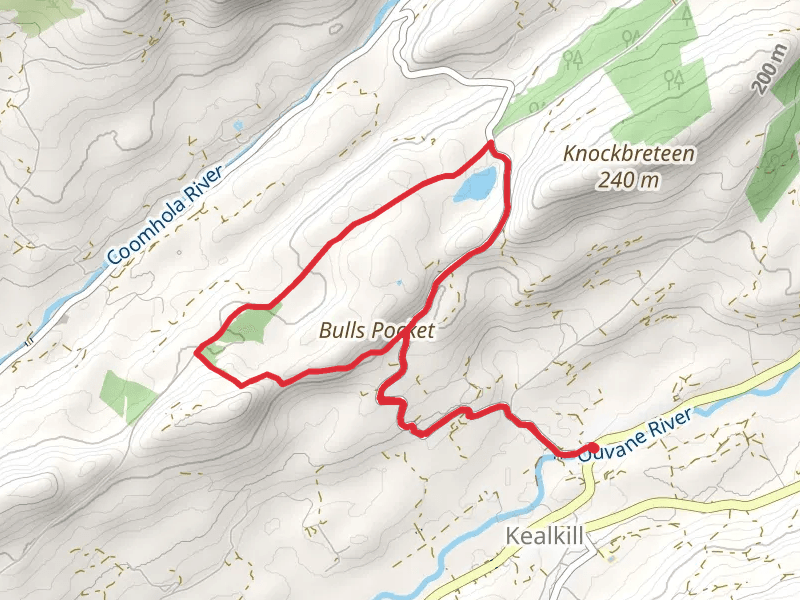 Sheep's Head - Poc an Tairbh