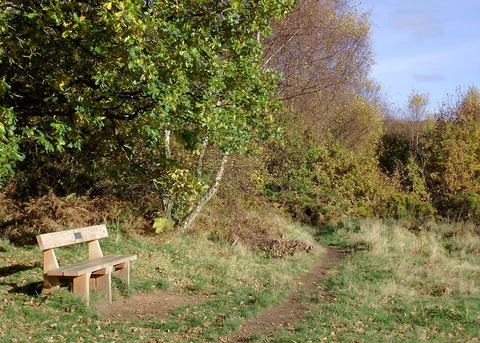 An image depicting the trail Highgate Common via Oil Beetle Trail and its surrounding area.