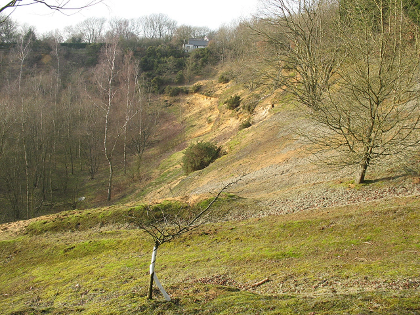 An image depicting the trail Ardingly, Scaynes Hill and Horsted Keynes Loop and its surrounding area.