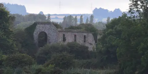 An image depicting the trail Ballygannon - Green Walk and its surrounding area.