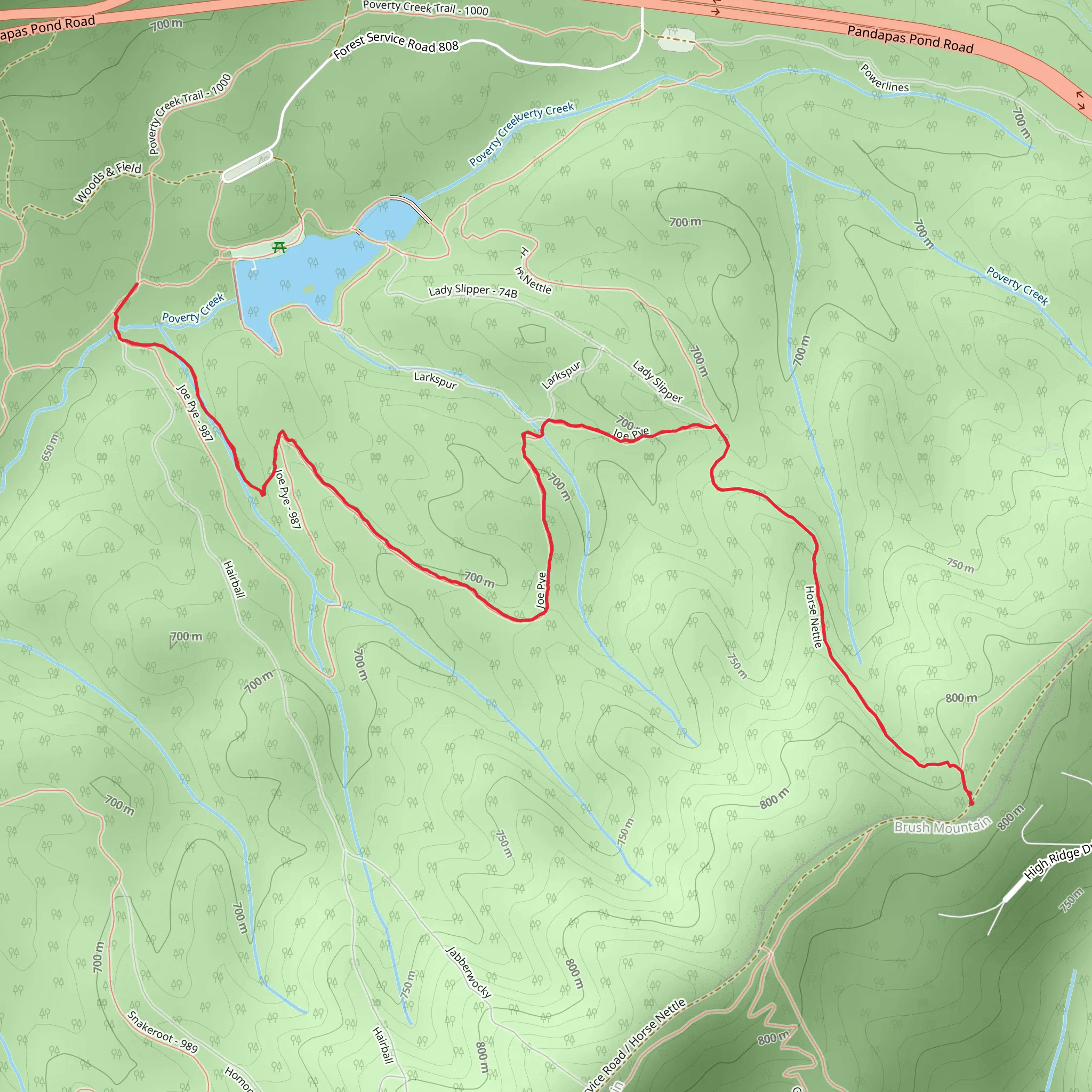 Joe Pye Trail via Horse Nettle Trail mobile static map