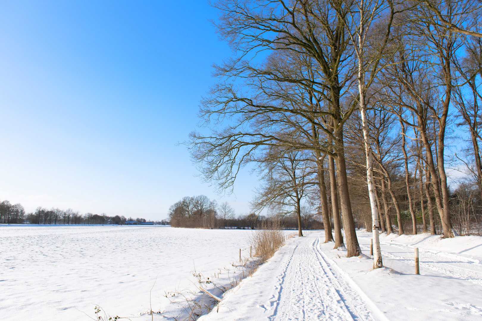 An image depicting the trail Onderduikershol De Wigwam Loop and its surrounding area.