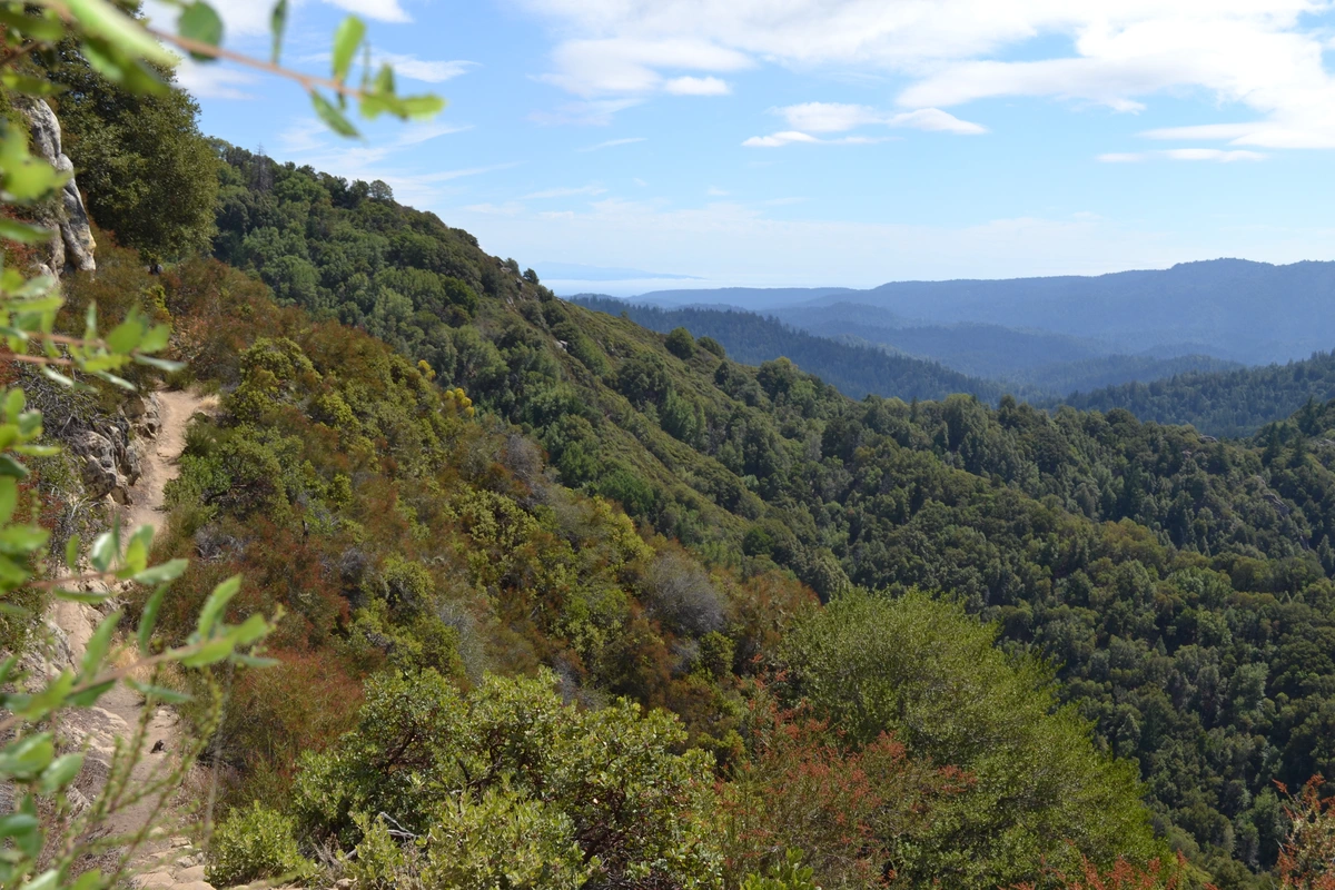 Castle Rock, Saratoga Gap and Skyline Loop Trail