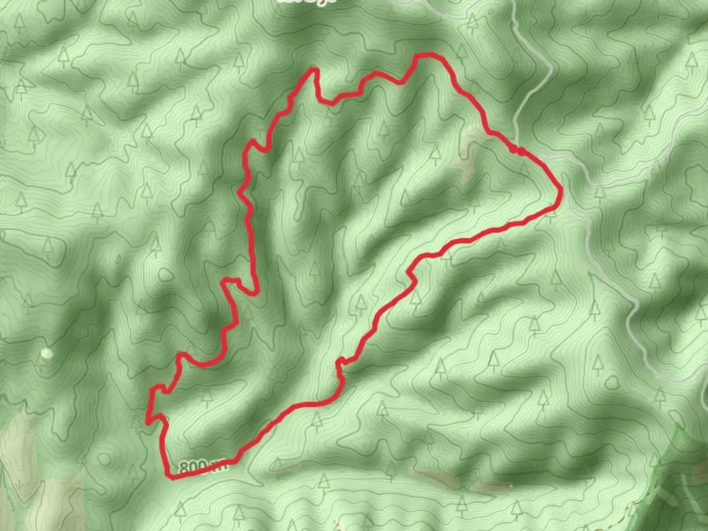 An image depicting the trail Trail 257 South Loop and its surrounding area.