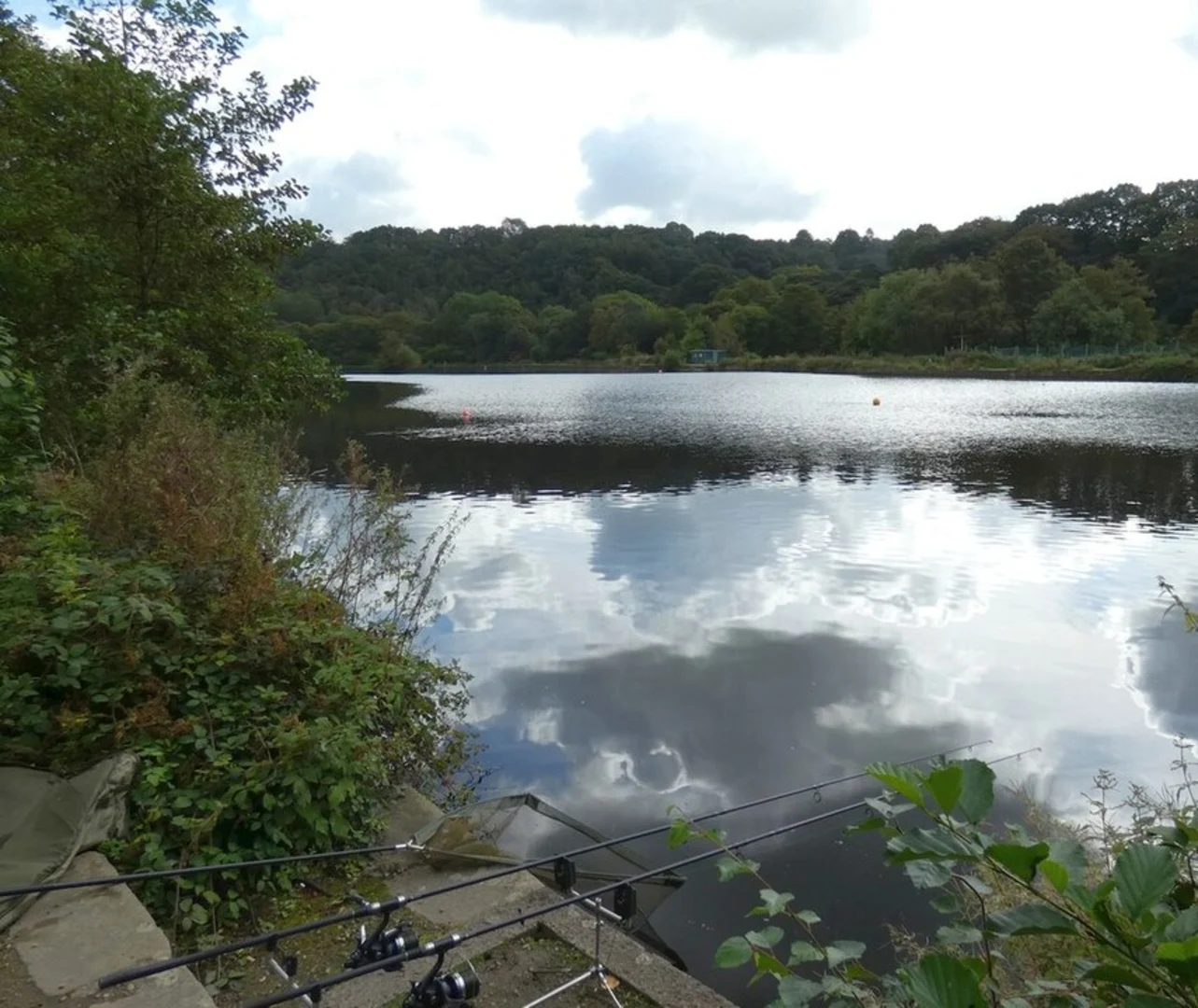 An image depicting the trail Romiley and its surrounding area.