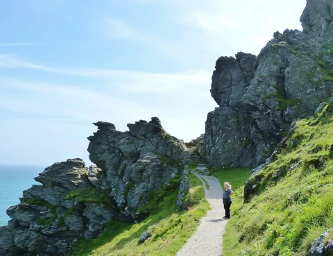 An image depicting the trail Fir Wood and The Warren Loop and its surrounding area.