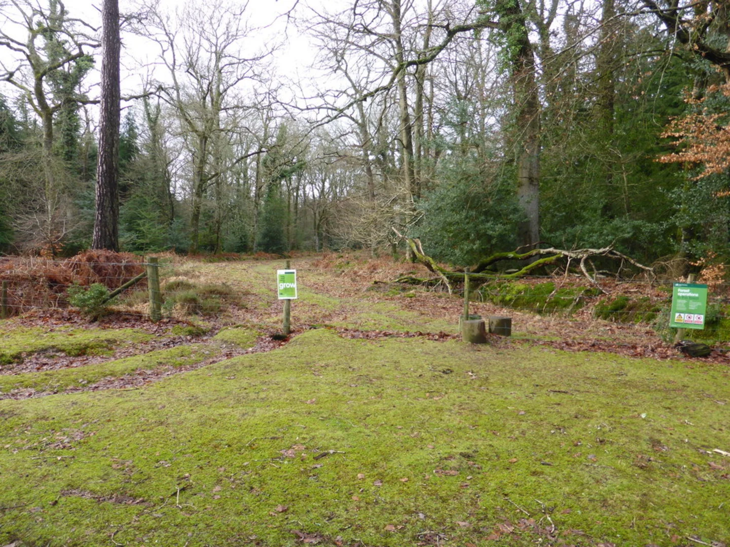 An image depicting the trail Clay Hill and Hardus Green Loop and its surrounding area.