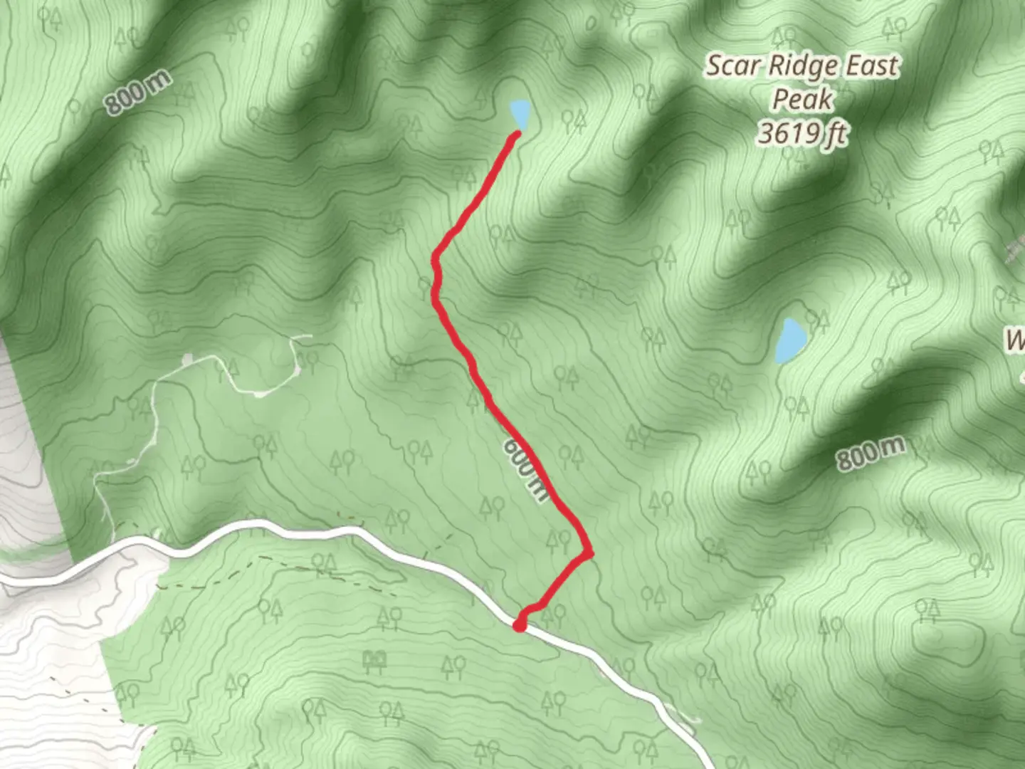 An image depicting the trail Little East Pond Trail and its surrounding area.