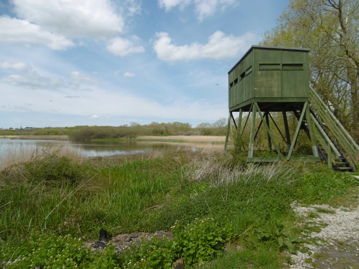 Stodmarsh National Nature Reserve Loop