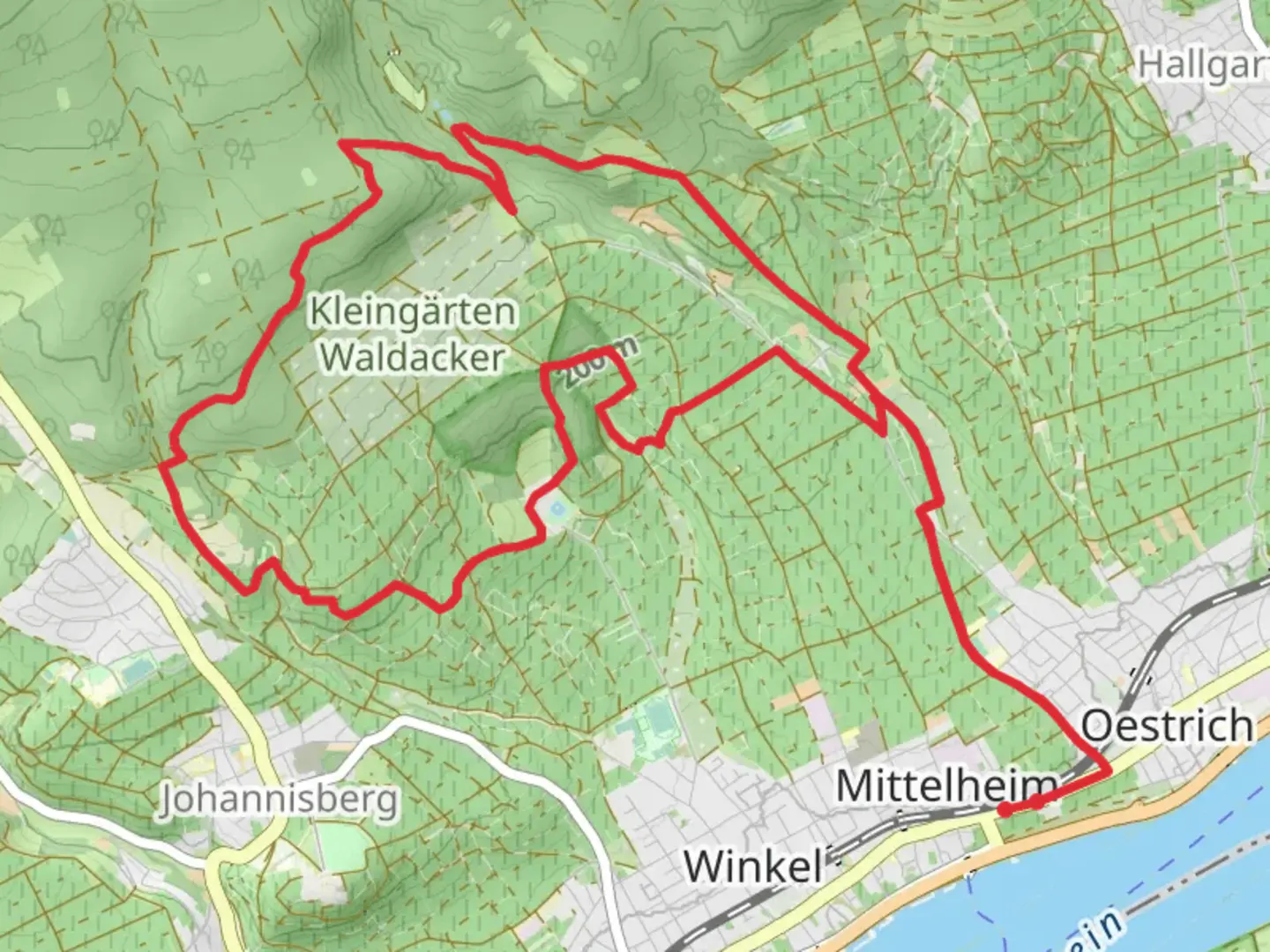 An image depicting the trail Vollradser Waldchen Loop via Oestrich Winkel and its surrounding area.
