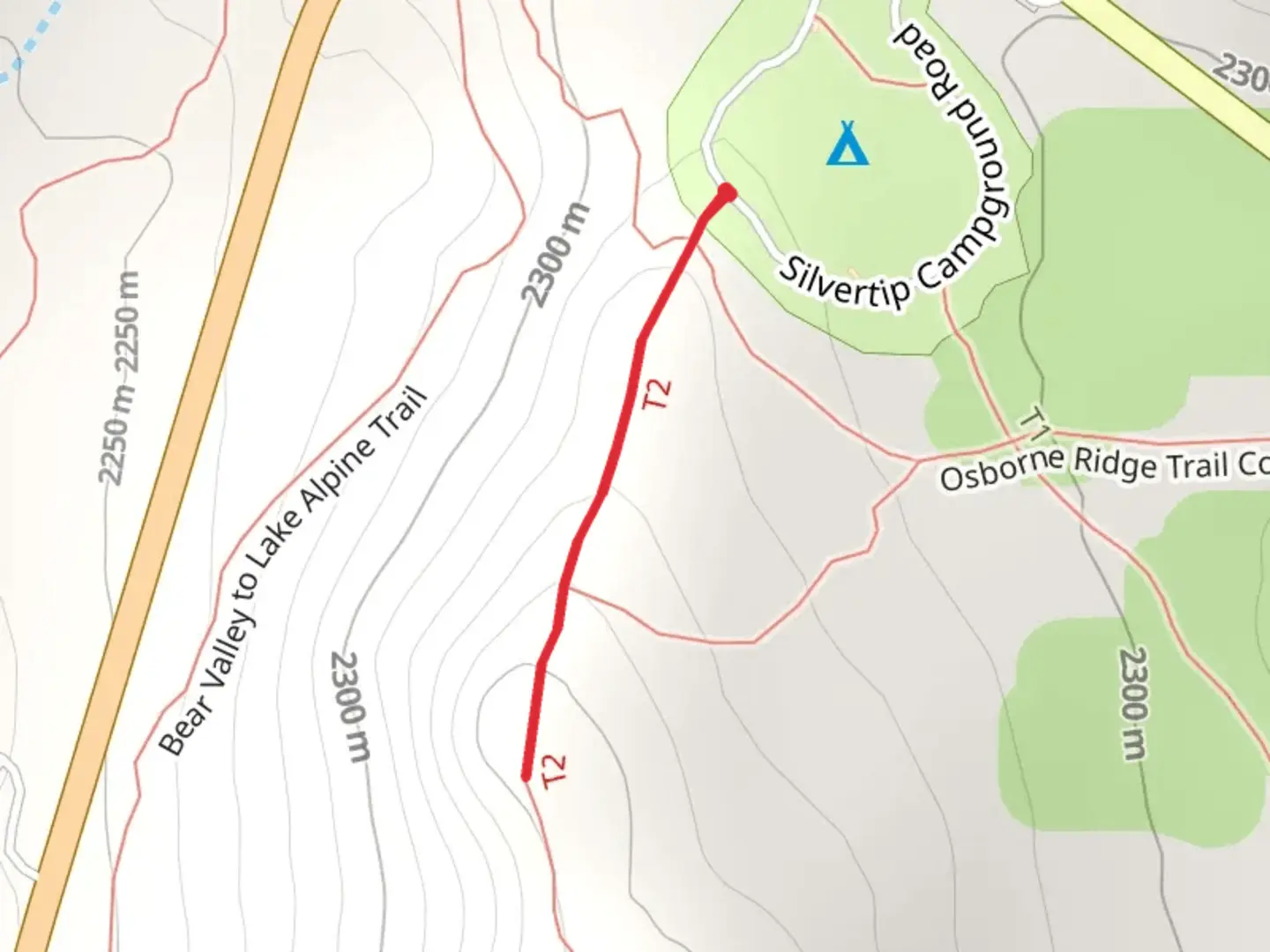 An image depicting the trail Silvertip Campground Road and its surrounding area.