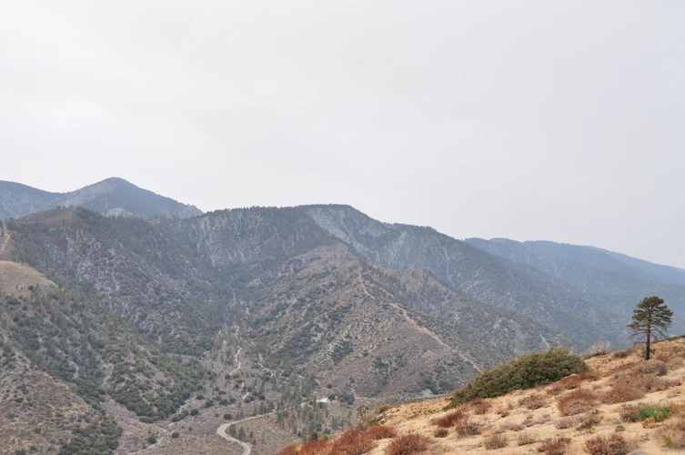 Wright Mountain via Acorn Trail and PCT