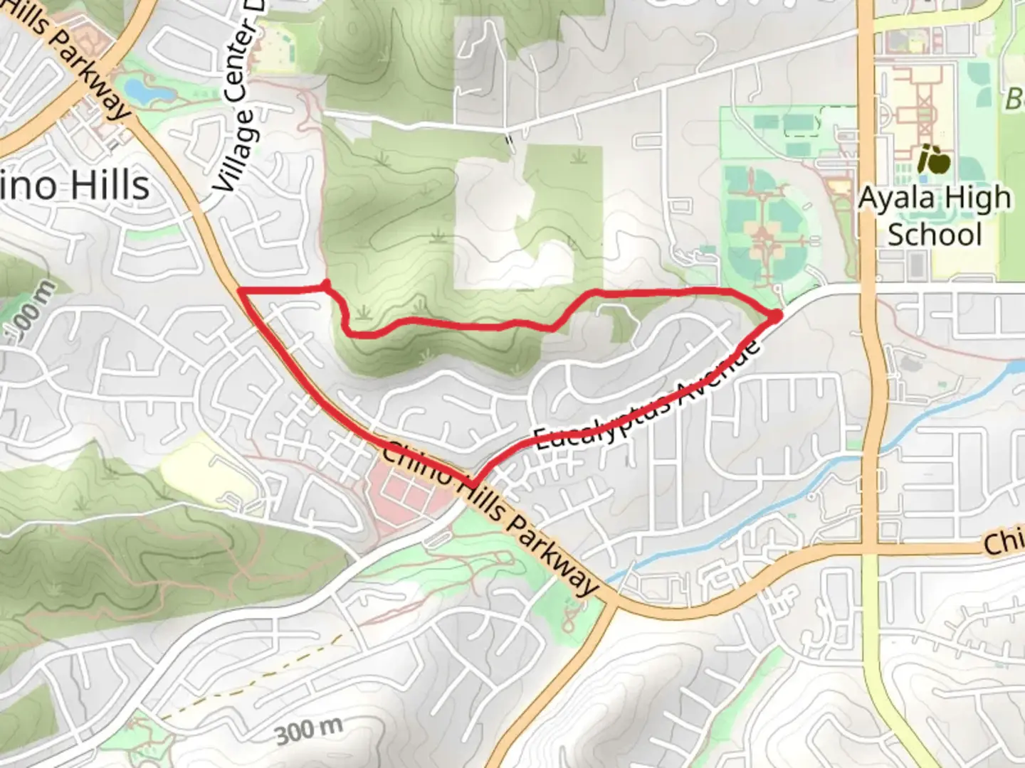 An image depicting the trail Eucalyptus Loop and its surrounding area.