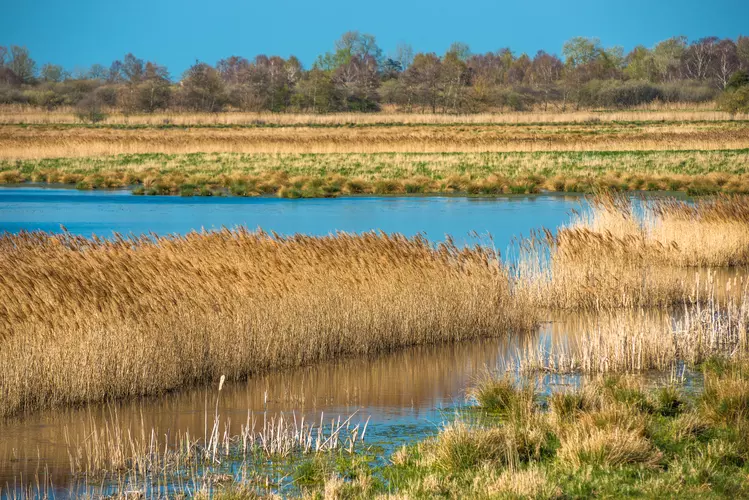 Four Lodes Trail - Wicken Fen - Cambridgeshire
