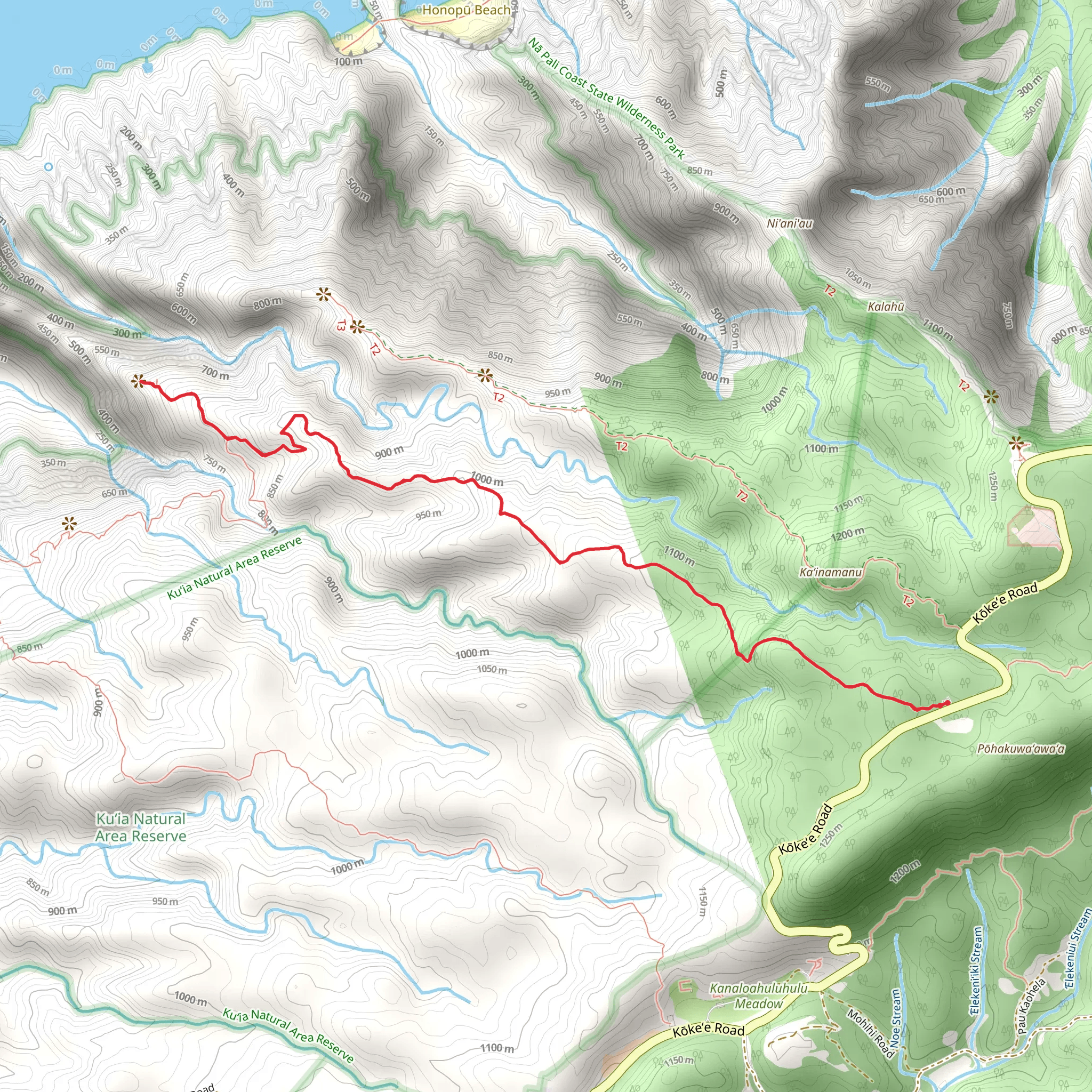 Awa'awapuhi Trail mobile static map