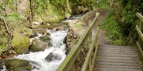 An image depicting the trail Alva Glen and its surrounding area.
