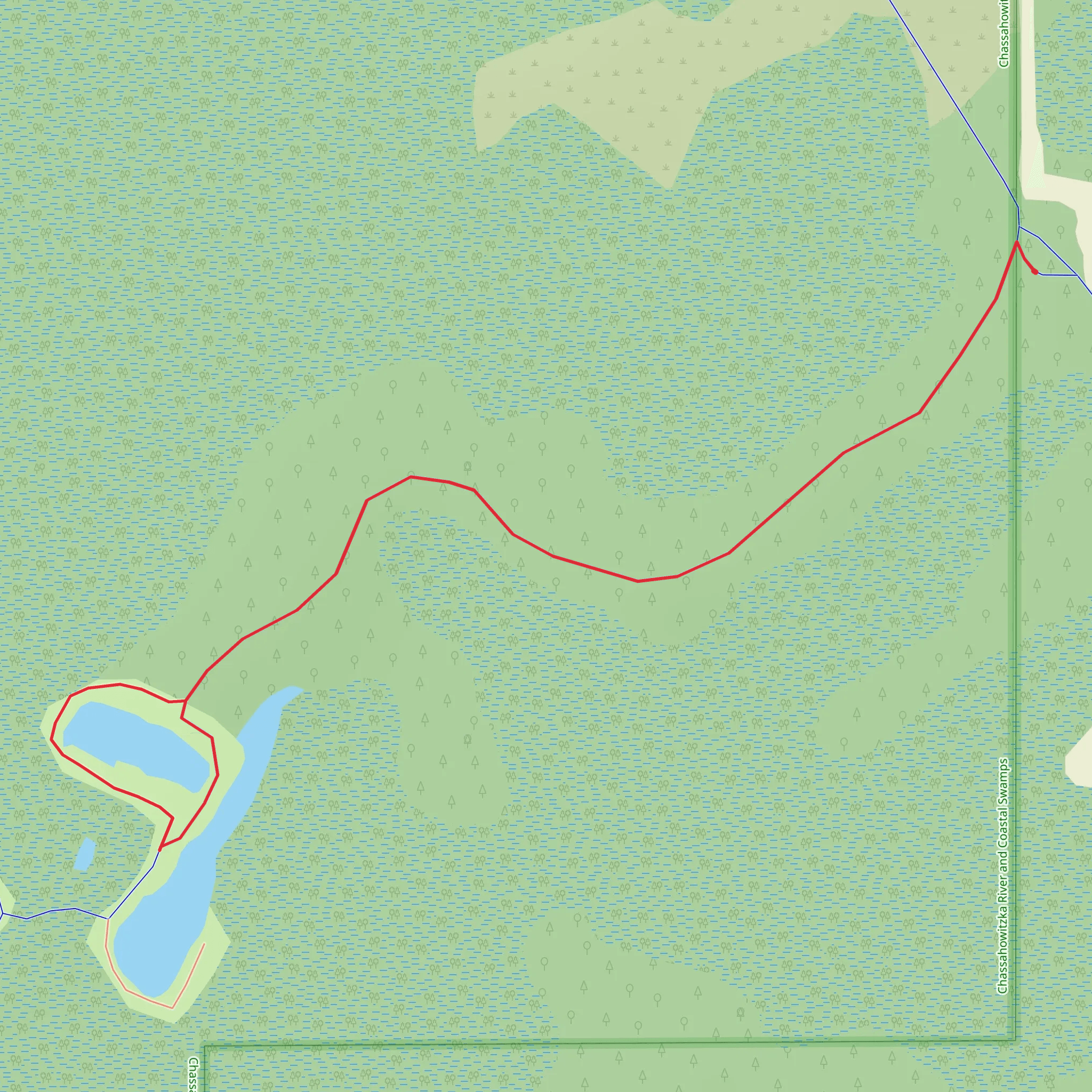 Chassahowitzka River and Coastal Swamp Short Trail mobile static map