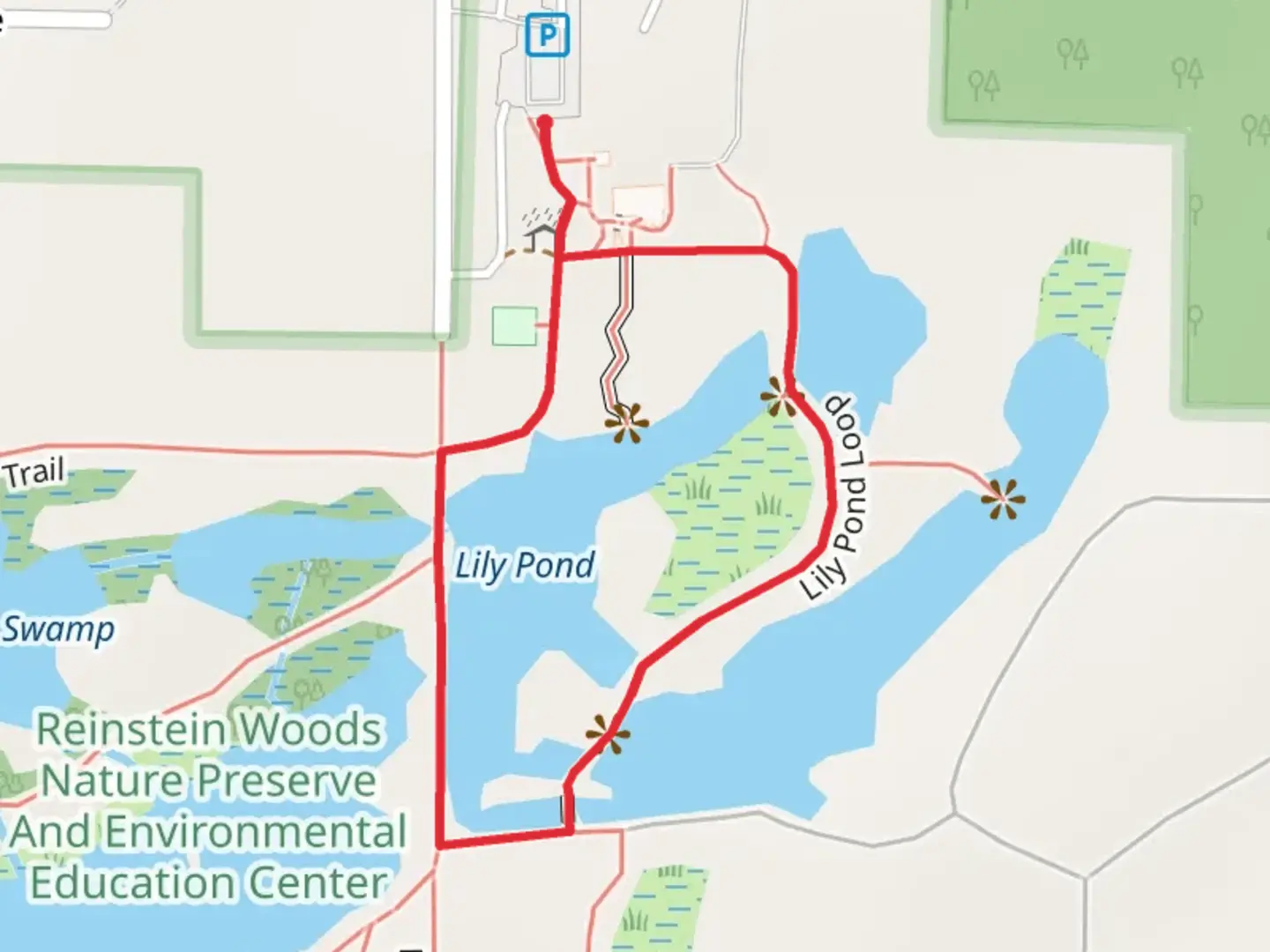 An image depicting the trail Lily Pond Loop Trail and its surrounding area.