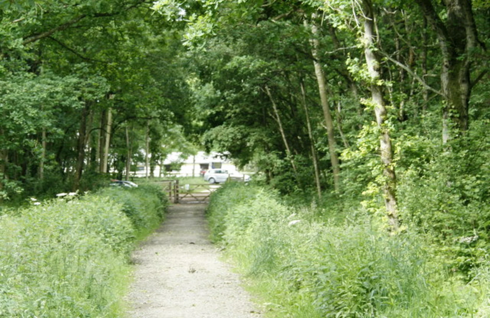 An image depicting the trail Clanger Wood Small Loop and its surrounding area.