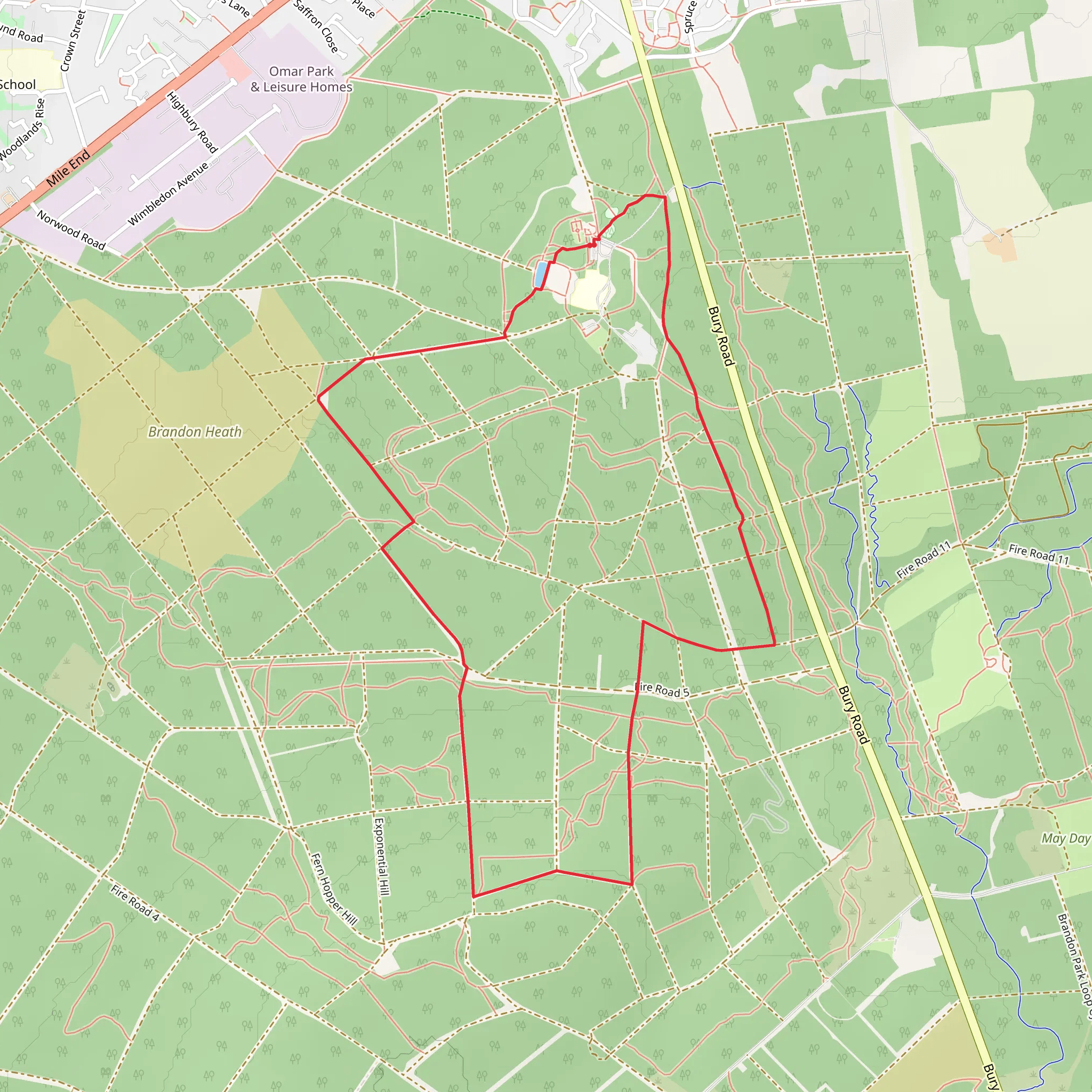 Brandon Country Park Loop mobile static map